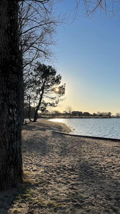 Maison Neuve 3 Etoiles Les Logis Du Lac Sanguinet Εξωτερικό φωτογραφία